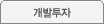 개발투자